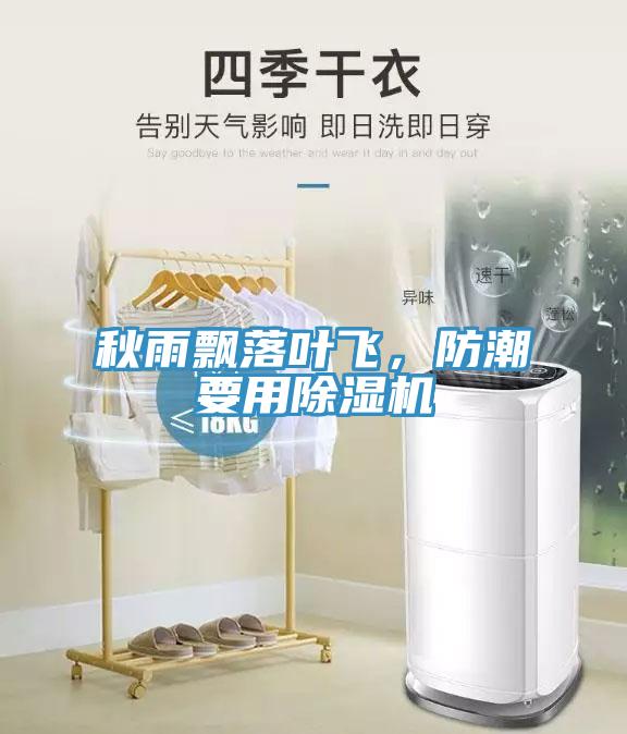秋雨飄落葉飛,防潮要用除濕機