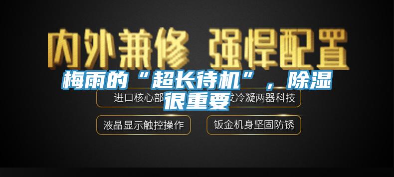 梅雨的“超長待機”，除濕很重要