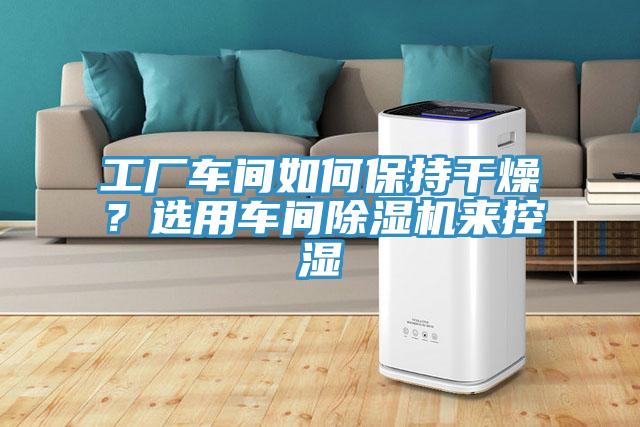 工廠車間如何保持干燥？選用車間除濕機來控濕