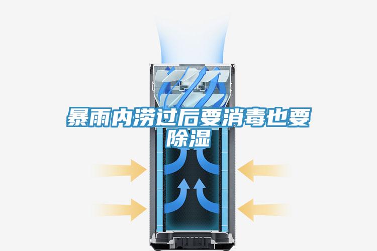 暴雨內(nèi)澇過后要消毒也要除濕