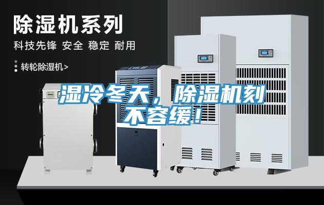 濕冷冬天，除濕機刻不容緩！