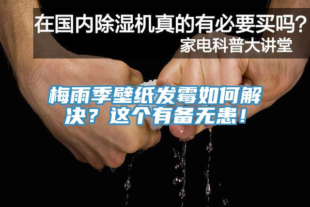 梅雨季壁紙發(fā)霉如何解決？這個(gè)有備無患！