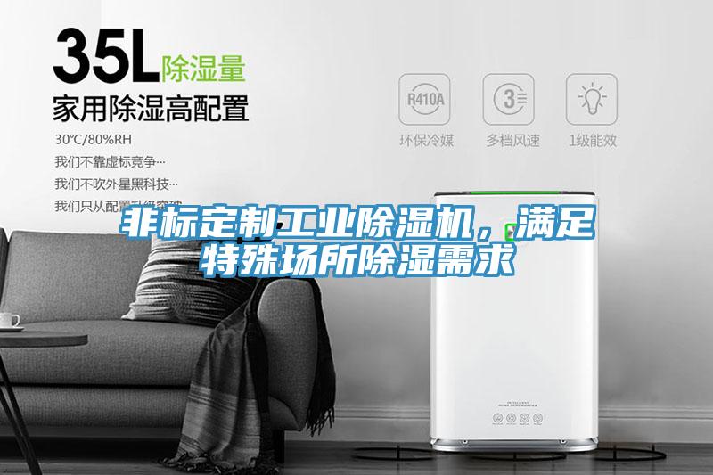 非標定制工業除濕機，滿足特殊場所除濕需求