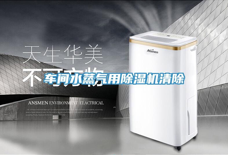 車間水蒸氣用除濕機清除