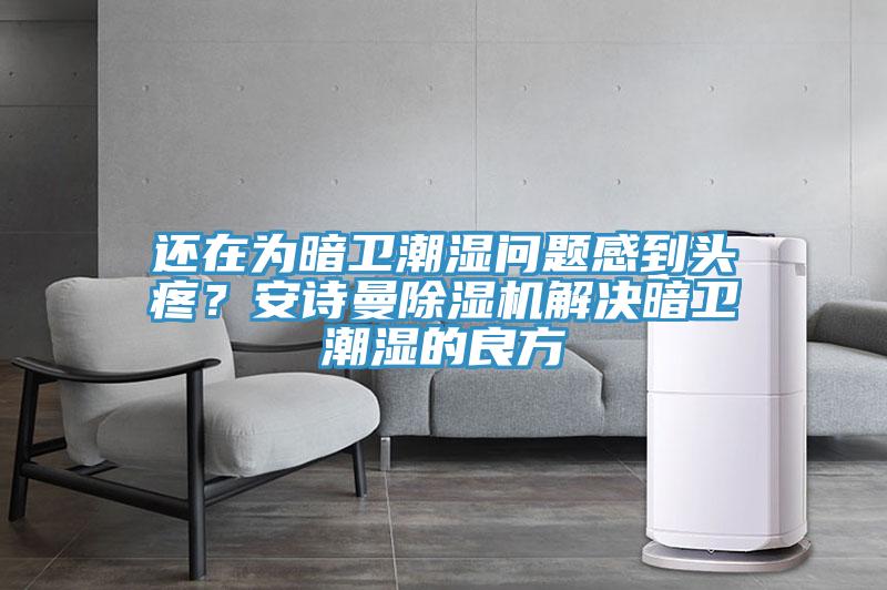 還在為暗衛(wèi)潮濕問題感到頭疼？安詩曼除濕機解決暗衛(wèi)潮濕的良方