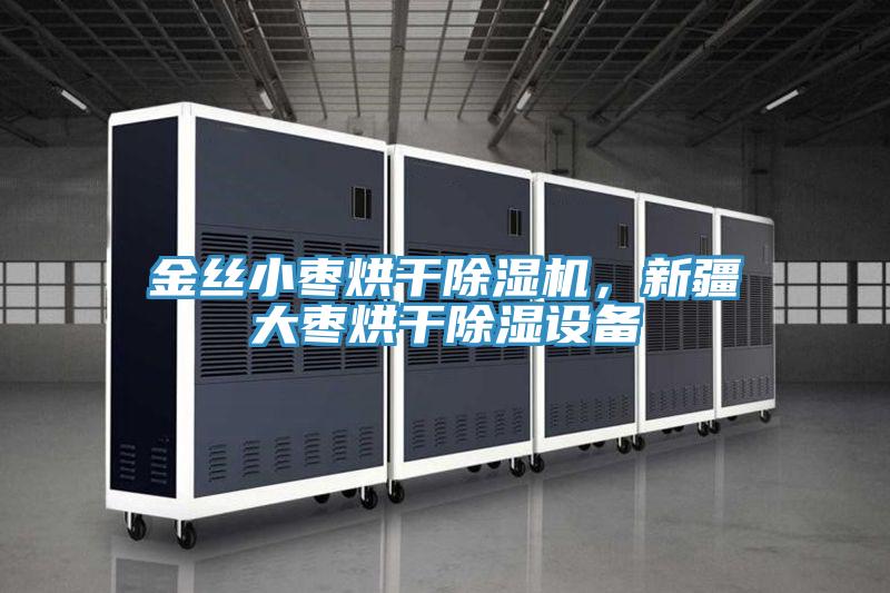 金絲小棗烘干除濕機,新疆大棗烘干除濕設備