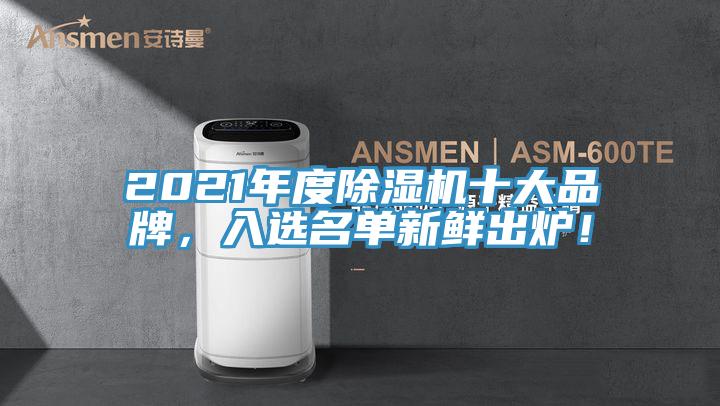 2021年度除濕機十大品牌，入選名單新鮮出爐！