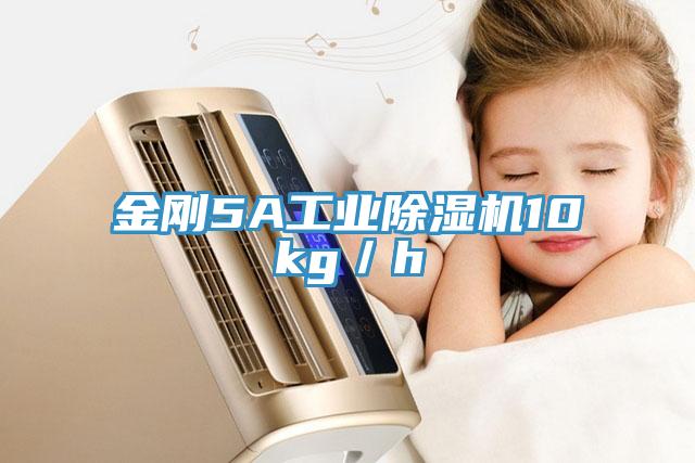 金剛5A工業除濕機10kg/h