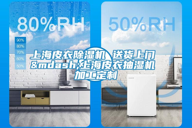 上海皮衣除濕機 送貨上門 &mdash;上海皮衣抽濕機 加工定制