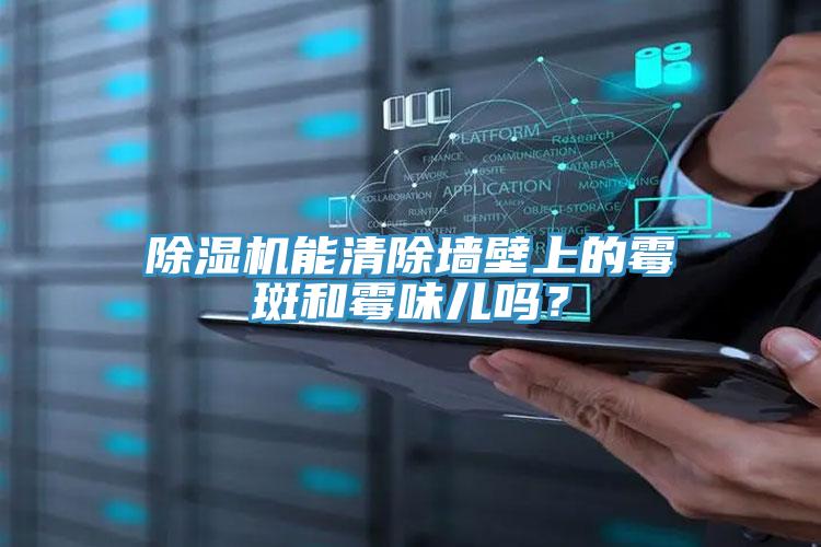 除濕機(jī)能清除墻壁上的霉斑和霉味兒?jiǎn)幔?></div>
								<div   id=