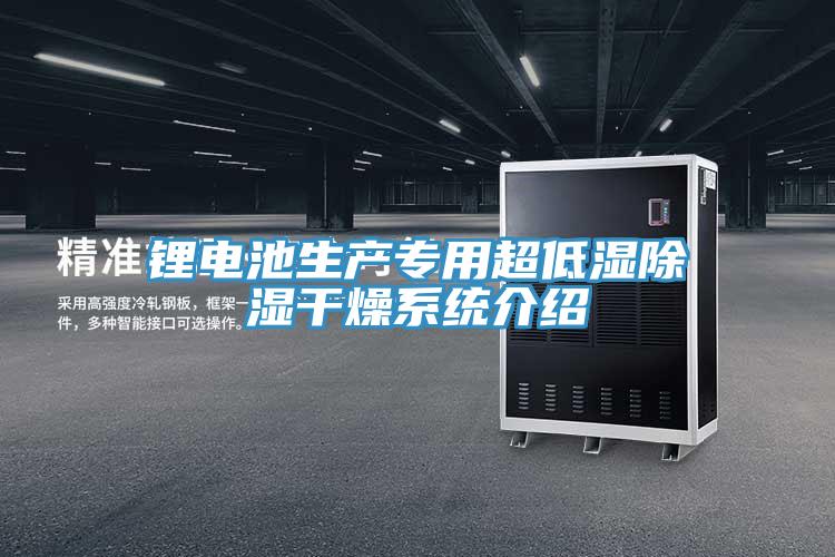 鋰電池生產(chǎn)專(zhuān)用超低濕除濕干燥系統(tǒng)介紹