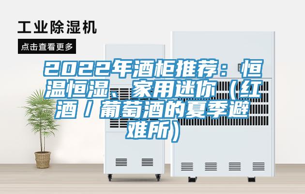 2022年酒柜推薦:恒溫恒濕、家用迷你(紅酒/葡萄酒的夏季避難所)