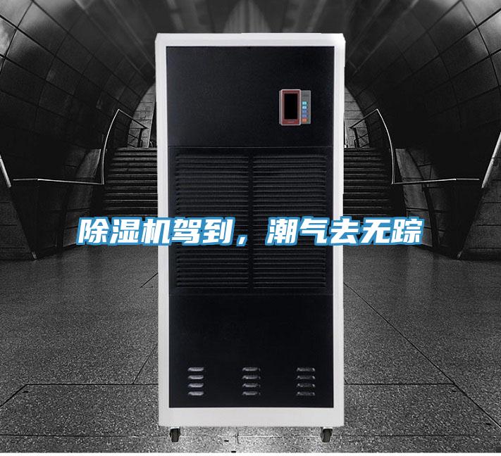 除濕機駕到，潮氣去無蹤
