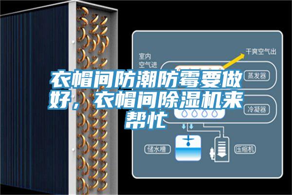 衣帽間防潮防霉要做好，衣帽間除濕機(jī)來幫忙