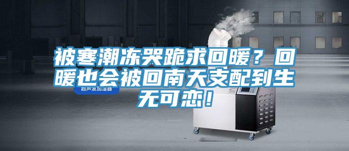 被寒潮凍哭跪求回暖？回暖也會(huì)被回南天支配到生無可戀！
