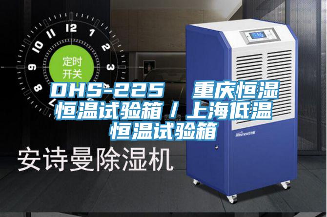 DHS-225 重慶恒濕恒溫試驗箱/上海低溫恒溫試驗箱