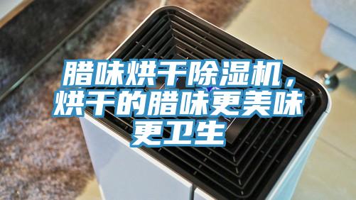 臘味烘干除濕機，烘干的臘味更美味更衛(wèi)生