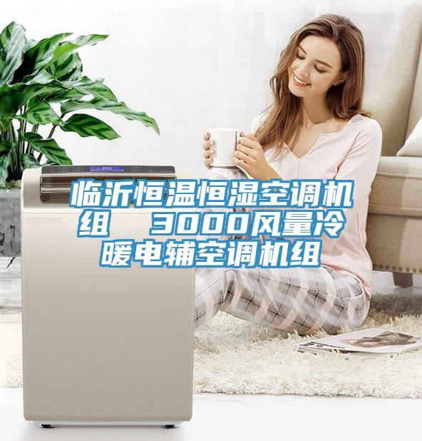 臨沂恒溫恒濕空調機組  3000風量冷暖電輔空調機組