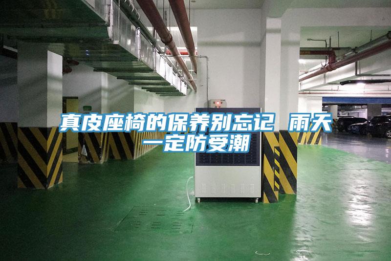 真皮座椅的保養別忘記 雨天一定防受潮