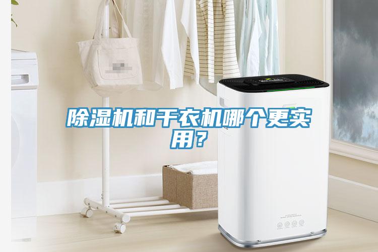 除濕機和干衣機哪個更實用？