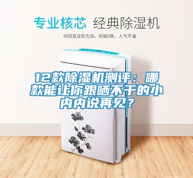 12款除濕機測評：哪款能讓你跟曬不干的小內內說再見？