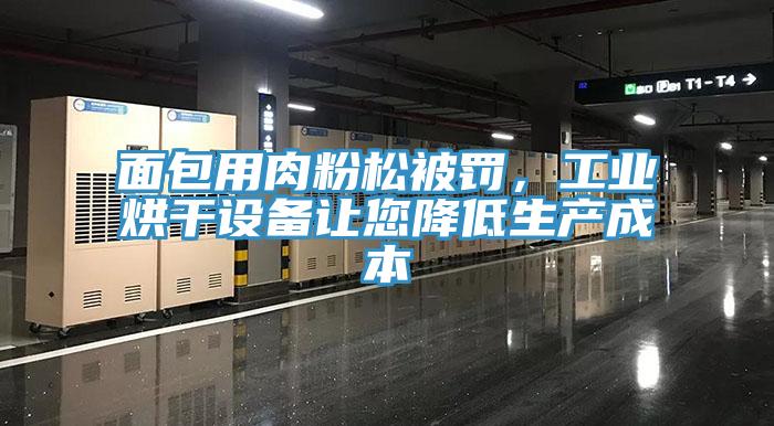 面包用肉粉松被罰,工業烘干設備讓您降低生產成本