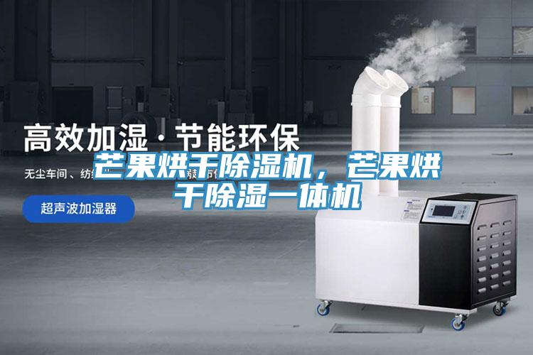 芒果烘干除濕機(jī)，芒果烘干除濕一體機(jī)