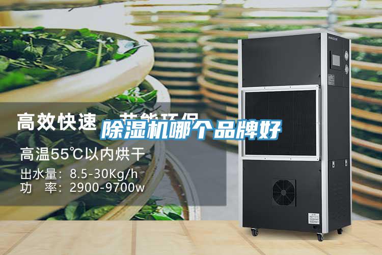 除濕機(jī)哪個(gè)品牌好
