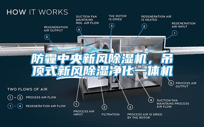 防霾中央新風除濕機，吊頂式新風除濕凈化一體機