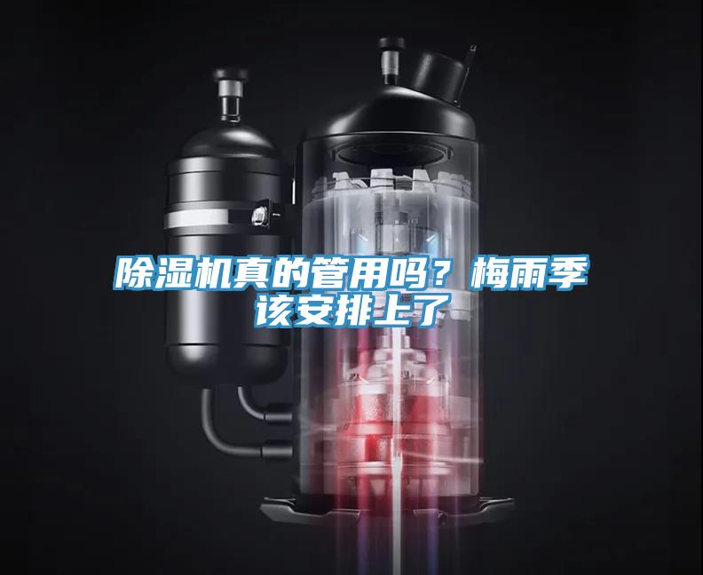 除濕機真的管用嗎？梅雨季該安排上了