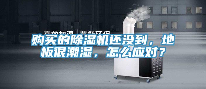 購買的除濕機還沒到，地板很潮濕，怎么應(yīng)對？
