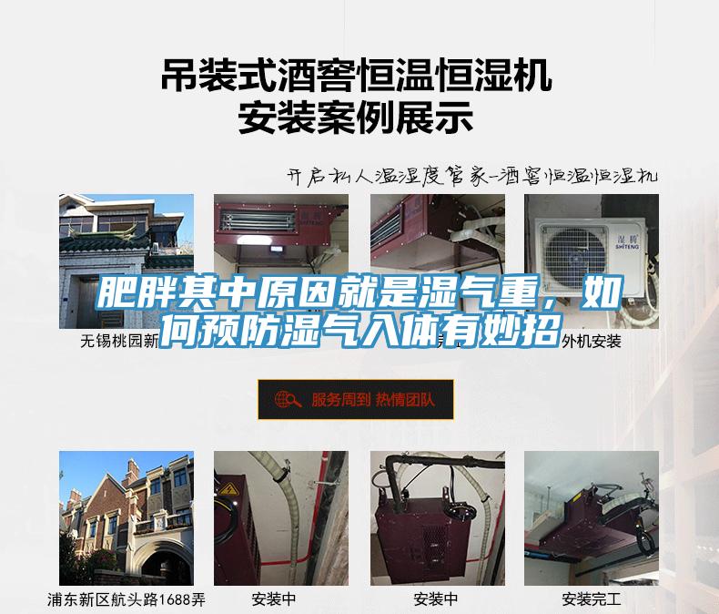 肥胖其中原因就是濕氣重,如何預(yù)防濕氣入體有妙招