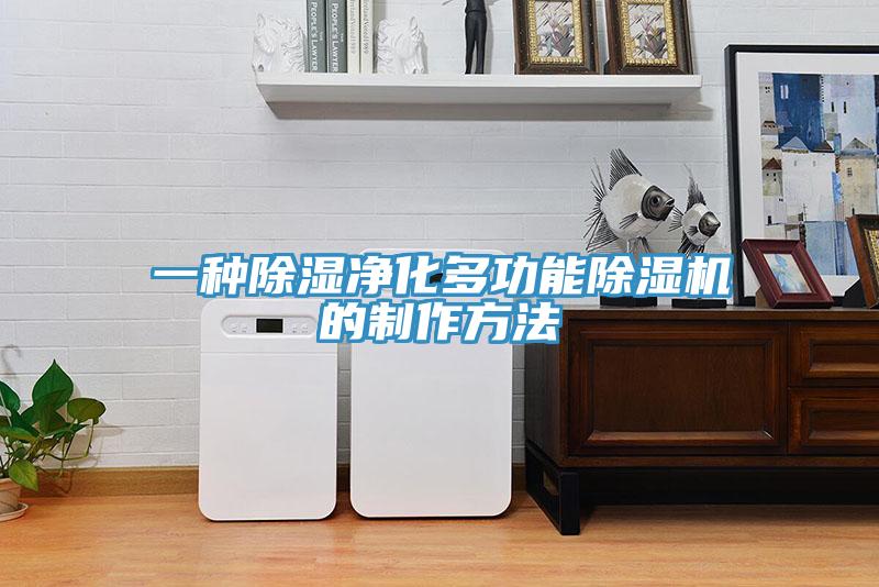 一種除濕凈化多功能除濕機的制作方法