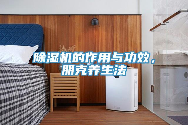 除濕機的作用與功效，朋克養生法