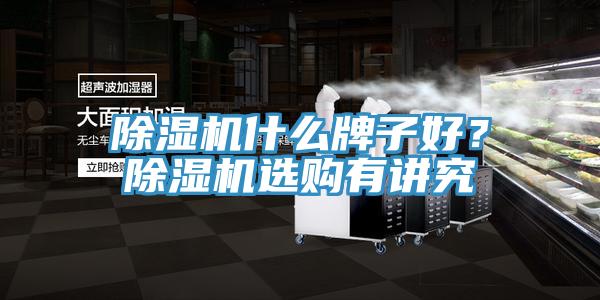 除濕機什么牌子好？除濕機選購有講究