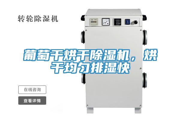 葡萄干烘干除濕機，烘干均勻排濕快