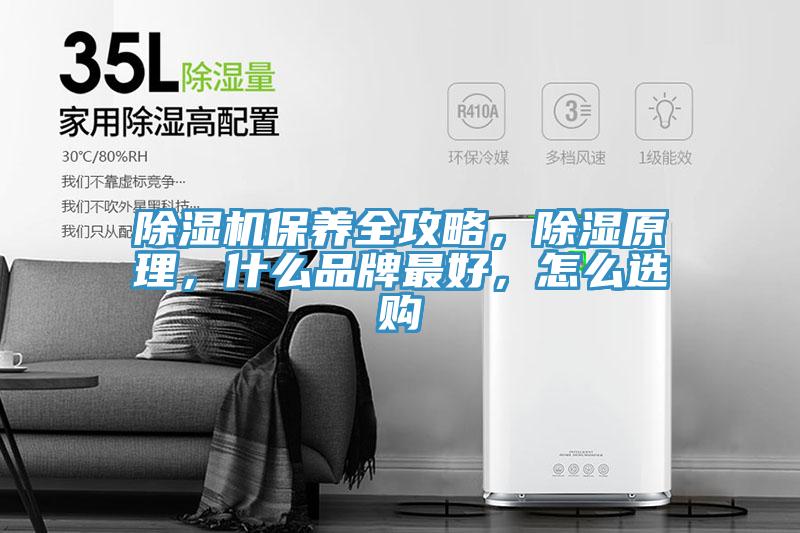 除濕機保養全攻略，除濕原理，什么品牌最好，怎么選購