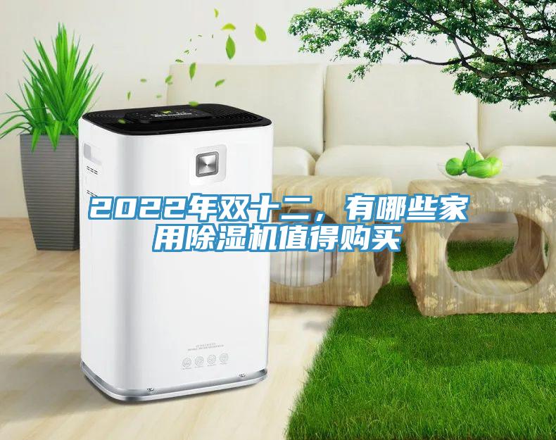 2022年雙十二,有哪些家用除濕機(jī)值得購買