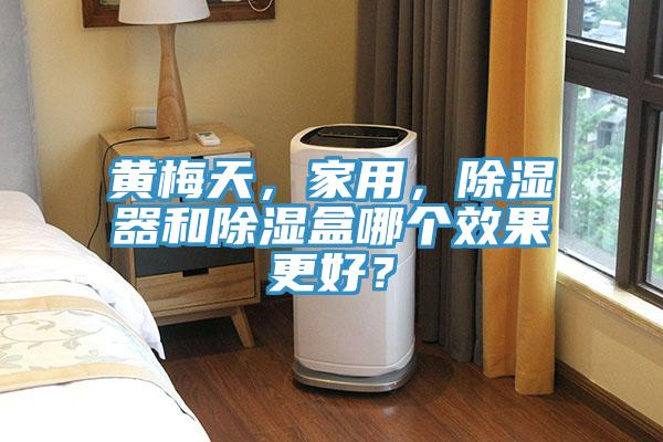 黃梅天，家用，除濕器和除濕盒哪個效果更好？