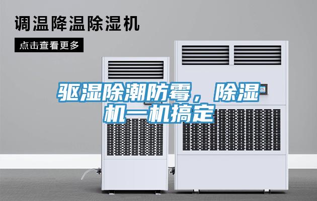 驅濕除潮防霉，除濕機一機搞定