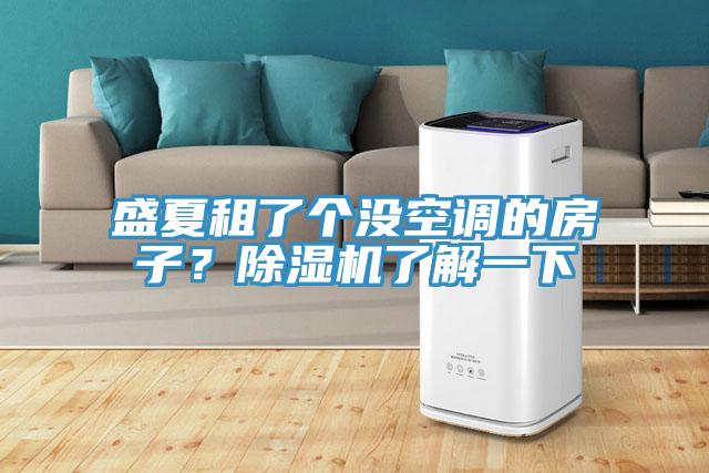 盛夏租了個沒空調的房子？除濕機了解一下