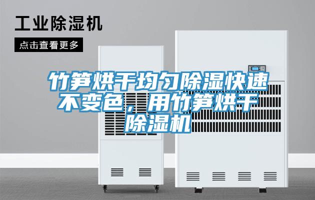 竹筍烘干均勻除濕快速不變色，用竹筍烘干除濕機