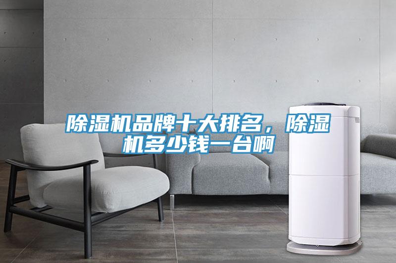 除濕機品牌十大排名，除濕機多少錢一臺啊
