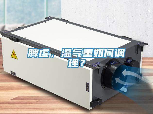 脾虛，濕氣重如何調(diào)理？