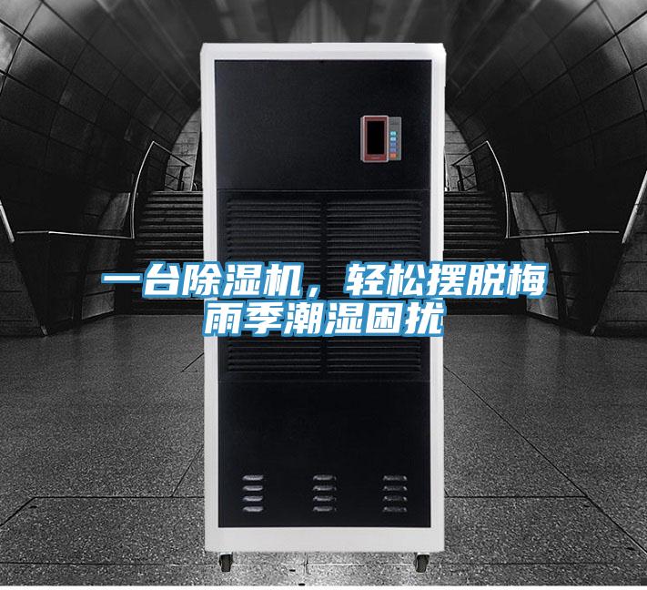 一臺除濕機，輕松擺脫梅雨季潮濕困擾