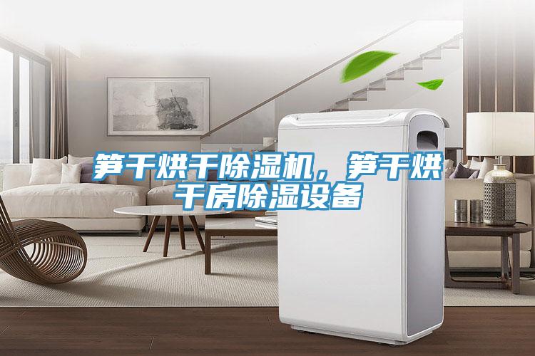筍干烘干除濕機，筍干烘干房除濕設備