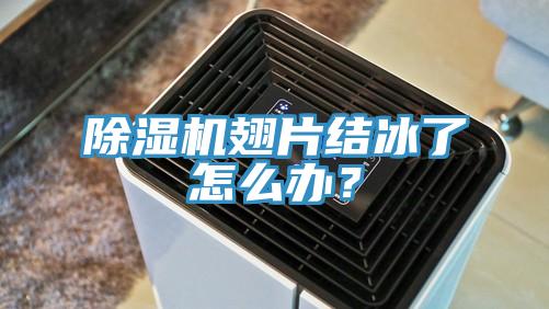 除濕機(jī)翅片結(jié)冰了怎么辦？