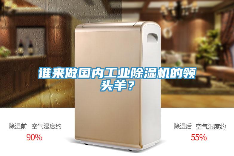 誰(shuí)來(lái)做國(guó)內(nèi)工業(yè)除濕機(jī)的領(lǐng)頭羊？