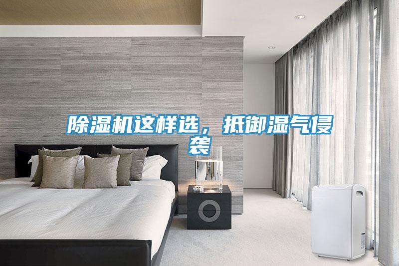 除濕機這樣選，抵御濕氣侵襲