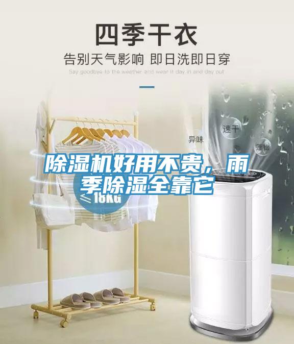 除濕機好用不貴，雨季除濕全靠它